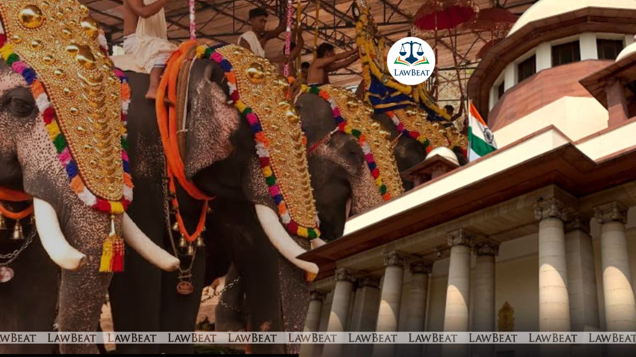 Supreme Court stays Kerala HC guidelines to protect elephants paraded during festivals Supreme Court stays Kerala HC guidelines to protect elephants paraded during festivals